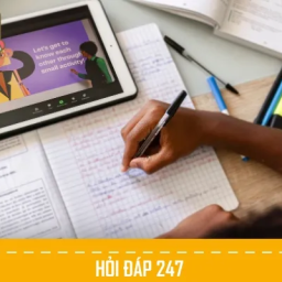 hoi-dap-247-cung-ban-chinh-phuc-kien-thuc-o-moi-cap-do