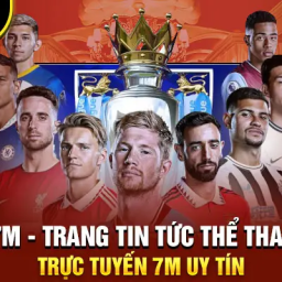 7m-trang-tin-tuc-the-thao-truc-tuyen-7m-cn-uy-tin