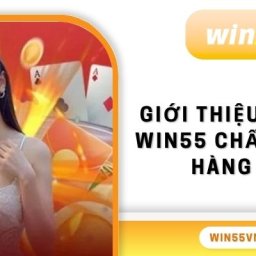 win55-link-vao-nha-cai-win55-chinh-thuc-2025