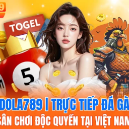 dola789-truc-tiep-da-ga-san-choi-doc-quyen-tai-viet-nam