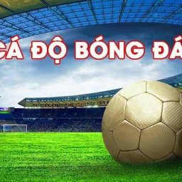 trang-ca-do-bong-da-uy-tin-2025-soi-keo-nhan-dinh-bong-da-chuan-xac