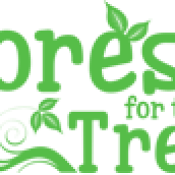 forest-for-the-trees