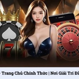 vb77-trang-chu-chinh-thuc-noi-giai-tri-dinh-cao