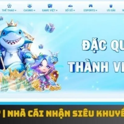 8day-tham-gia-nha-cai-nhan-sieu-khuyen-mai-moi-ngay