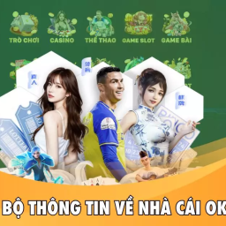 ok365-nha-cai-ca-cuoc-truc-tuyen-uy-tin-hang-dau-2025