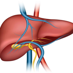 best-doctor-for-gallbladder-stone-in-mumbai-dr-rajan-modi