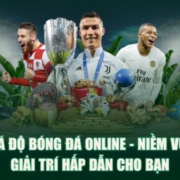 ca-do-bong-da-online-cung-cac-nha-cai-uy-tin-xanh-chin-so-1