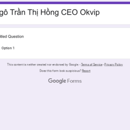 ngo-tran-thi-hong-ceo-okvip