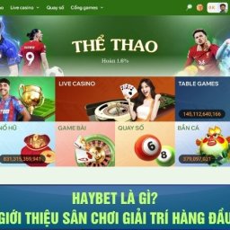 haybet-nha-cai-uy-tin-trang-ca-do-bong-da-dang-cap-2025