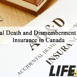 what-is-accidental-death-and-dismemberment-add-insurance-what-is-accidental-death-and-dismemberment-adampd-insurance