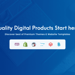 best-premium-customizing-shopify-themes-store-online