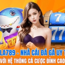 dola789-nha-cai-da-ga-uy-tin-voi-he-thong-ca-cuoc-dinh-cao