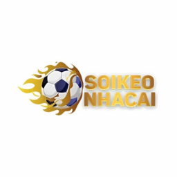 soikeonhacai8usorg-overview