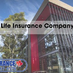 manulife-life-insurance-company-reviews