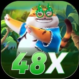 48x