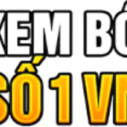 socolive-socolivestudio