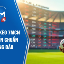 7m-nen-tang-cap-nhat-ty-le-7mcn-nhanh-chuan-24-24