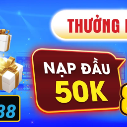 rwin-nha-cai-ca-cuoc-truc-tuyen-rwincom-tai-viet-nam-2025