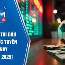 7m-lich-thi-dau-7mcn-truc-tuyen-hom-nay-update-2025