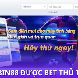 nha-cai-bin88-duoc-tin-chon-boi-hang-ty-nguoi-choi-moi-ngay