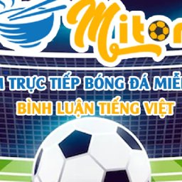 mitom-tv-truc-tiep-bong-da-on-aboutme