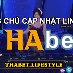 thabet-trang-cap-nhat-link-moi-tha-bet-khong-bi-chan-2024-thabetlifestyle