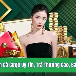 tk88-casino-diem-den-ly-tuong-danh-cho-cac-cuoc-thu