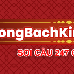 rong-bach-kim-soi-cau-247-soi-cau-rong-bach-kim-chinh-xac