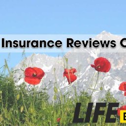 walnut-insurance-reviews-canada-2025-is-it-right-for-you-walnut-insurance-reviews-canada-2025-is-it-right-for-you