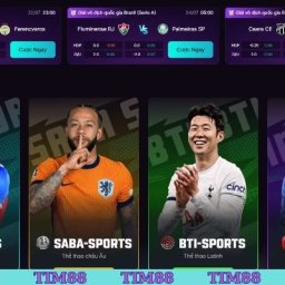 tim88-giai-tri-an-toan-link-dang-ky-nhan-code-mien-phi