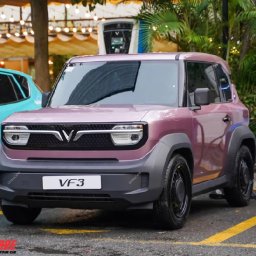 co-nen-do-mat-ca-lang-vf3-5-mau-dep-va-cach-bao-duong