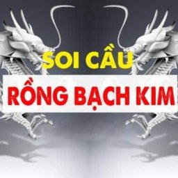 rong-bach-kim-dia-chi-soi-cau-chinh-xac-cung-thanh-vien