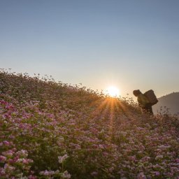 phieu-travel-all-inclusive-ha-giang-loop-adventures