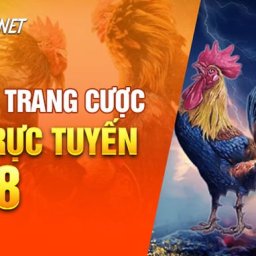 sv388-nha-cai-truc-tuyen-so-1-viet-nam-da-ga-thomo-uy-tin