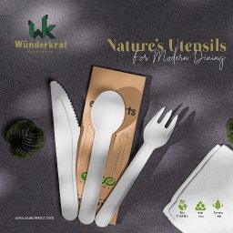 paper-cutlery-kit-for-sample-only