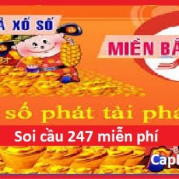 soi-cau-247-rong-bach-kim-du-doan-xsmb-chinh-xac