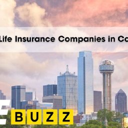 20-largest-life-insurance-companies-in-canada-2024-20-largest-life-insurance-companies-in-canada-2024-20-largest-life-insurance