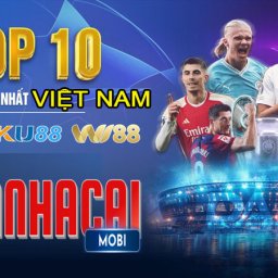 top-10-nha-cai-uy-tin-chat-luong-so-1-viet-nam-hien-nay-2024