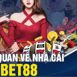 bet88-nen-tang-giai-tri-uy-tin-hang-dau-chau-a-2024