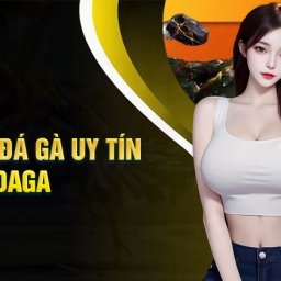 daga-daga-trang-nha-cai-dagacom-doc-quyen