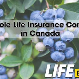 best-whole-life-insurance-companies-in-canada-for-2024-best-whole-life-insurance-companies-in-canada-for-2024-best-whole-life-in