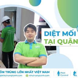 5-dia-chi-diet-moi-tan-goc-tai-quan-12-uy-tin-chuyen-nghiep