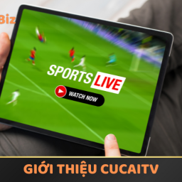 cucaitv-link-xem-truc-tiep-bong-da-24-7-sieu-muot