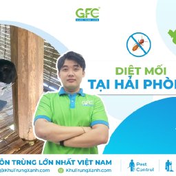 5-dia-chi-diet-moi-tan-goc-tai-hai-phong-uy-tin-nhat