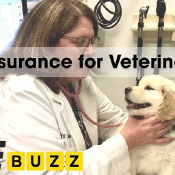 life-insurance-for-veterinarians-in-canada-life-insurance-for-veterinarians-in-canada-life-insurance-for-veterinarians-in-canada