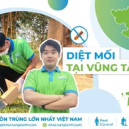 5-dia-chi-diet-moi-tan-goc-tai-vung-tau-uy-tin-nhat