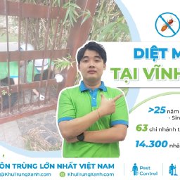 5-dia-chi-diet-moi-tan-goc-tai-vinh-long-uy-tin-nhat