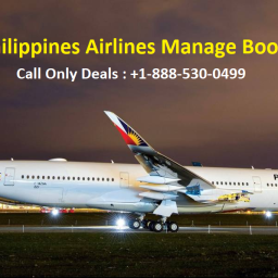 philippines-airlines-manage-booking-1-802-231-1806-number