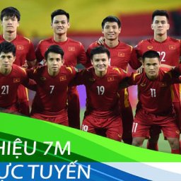 7m-trang-tin-tuc-the-thao-uy-tin-ty-le-keo-hay-2024