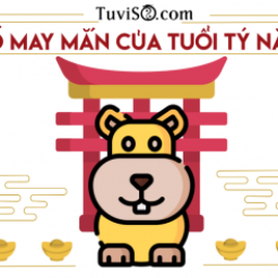 con-so-may-man-cua-tuoi-ty-nam-2021-so-6-hanh-phuc-ca-nam